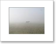 Matted Photo
